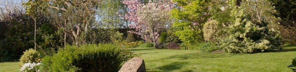 Le jardin d'Auguste